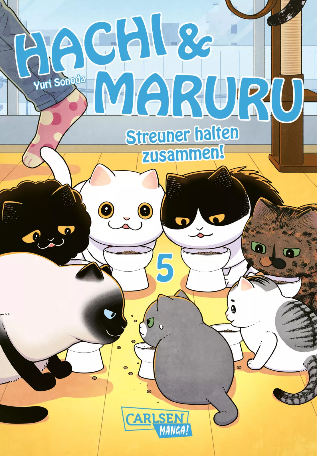 Hachi & Maruru – Streuner halten zusammen! - Band 05