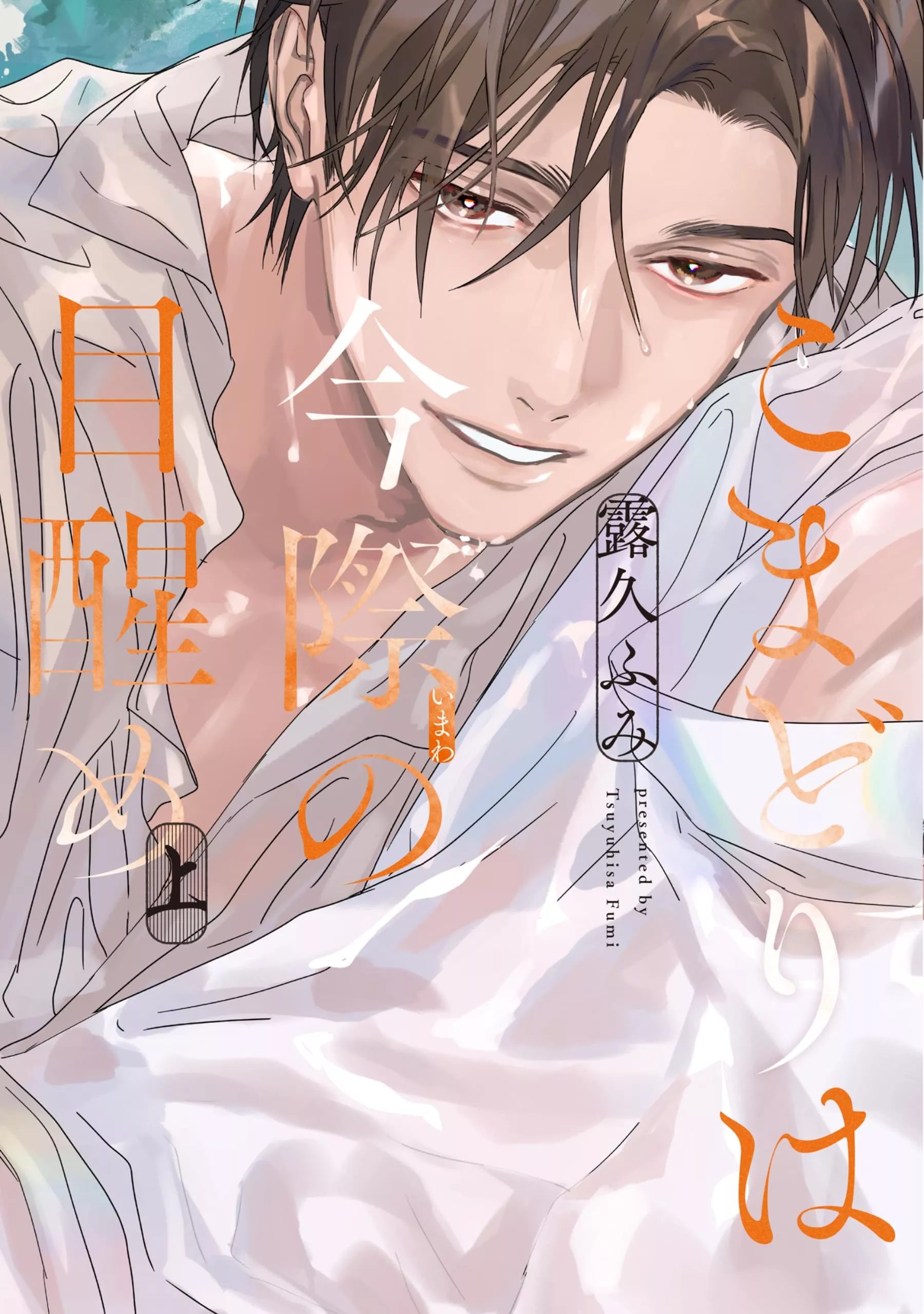 Im Schleier der Nacht: Das Erwachen - Band 01