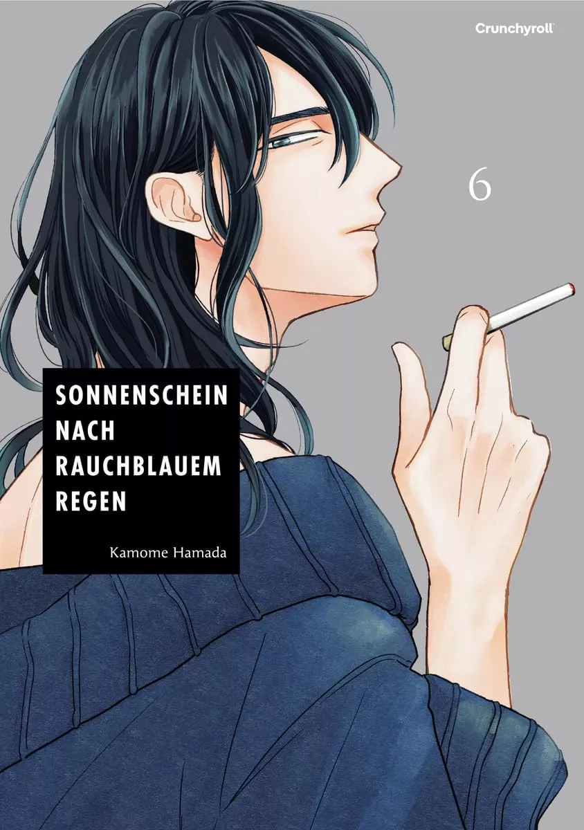 Sonnenschein nach rauchblauem Regen - Band 06