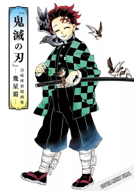 Demon Slayer - Kimetsu no Yaiba: Im Laufe der Jahre Limited Edition
