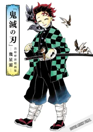 Demon Slayer – Kimetsu no Yaiba: Im Laufe der Jahre – Gesammelte Illustrationen von Koyoharu Gotouge – Limited Edition