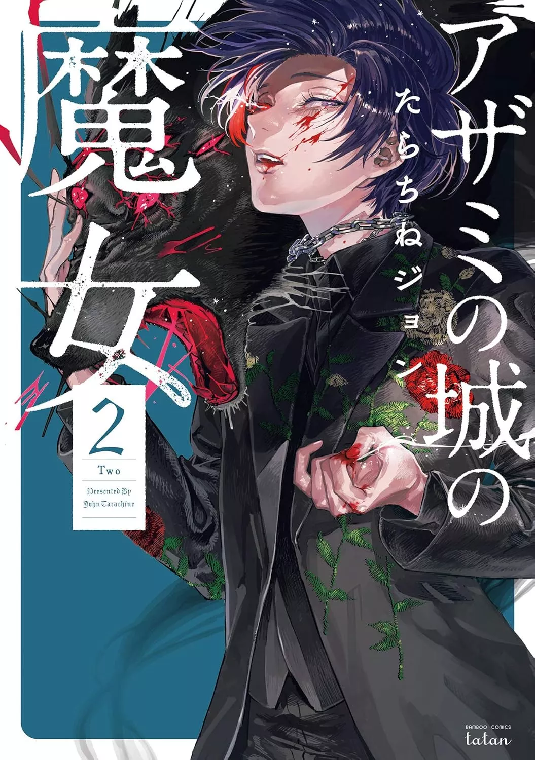 Die Hexe vom Distelschloss - Band 02