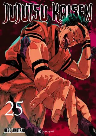 Jujutsu Kaisen - Band 25 Jujutsu Kaisen - Band 25