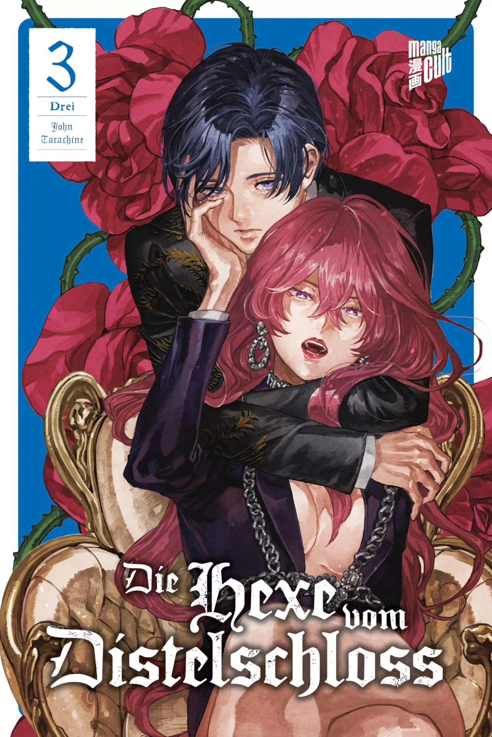 Die Hexe vom Distelschloss - Band 03